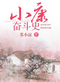 《小康奋斗史》封面