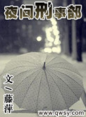 《夜间刑事部》封面