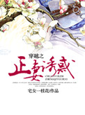 《穿越之正妻诱惑》封面