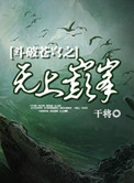 《斗破苍穹之无上巅峰》封面