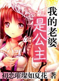 《我的老婆是公主》封面