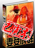 《妻妾成群》封面