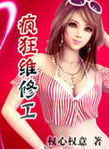 《疯狂维修工》封面
