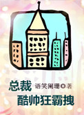 《总裁酷帅狂霸拽》封面