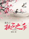 《重生之执子之手》封面
