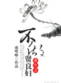 《重生不做贤良妇》封面