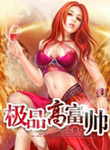 《极品高富帅》封面