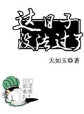 《这日子没法过了》封面