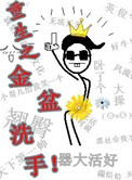 《重生之金盆洗手》封面