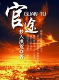 《官途》封面