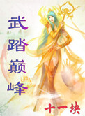 《武踏巅峰》封面