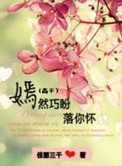 《嫣然巧盼落你怀（高干）》封面