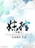 《穿越之妹控》封面