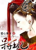 《呆子王妃》封面