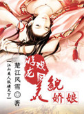 《大明天子传奇》封面