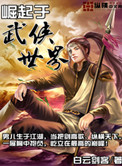 《崛起于武侠世界》封面
