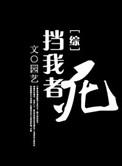 《（综同人）挡我者，死》封面