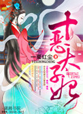 《十恶太子妃》封面