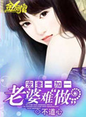 《宠妻一加一：老婆难做》封面