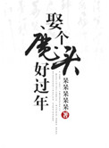 《娶个魔头好过年》封面