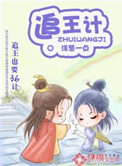 《追王计》封面