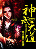 《神武天道》封面