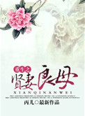 《重生之贤妻良母》封面
