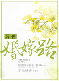 《异世婚嫁路（共妻守则）》封面