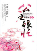 《公主很忙》封面