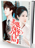 《老婆，诱你入局（作者：紫韵叶）》封面