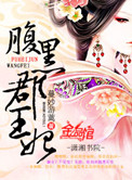 《腹黑郡王妃》封面