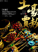《红楼之土豪贾赦》封面