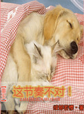 《[重生]这节奏不对！》封面