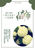 《重生未来之晶师》封面
