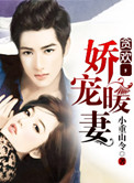 《贪欢，娇宠暖妻》封面