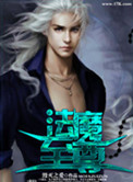 《法魔至尊》封面