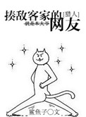 《[猎人]揍敌客家的网友》封面