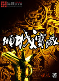 《倾城宝藏》封面