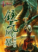 《锐气风暴》封面