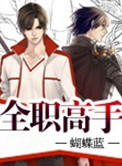 《全职高手》封面