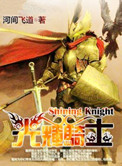 《光辉骑士》封面