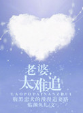 《老婆，太难追》封面