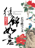《重生之绣锦如意》封面