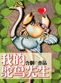 《我的鸵鸟先生》封面