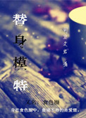 《替身模特》封面