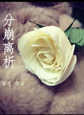 《分崩离析》封面