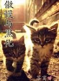 《傲慢与黑化》封面