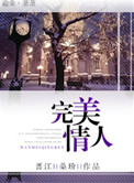 《完美情人》封面