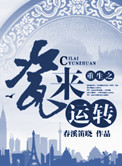 《重生之瓷来运转》封面