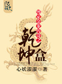 《傅家金龙传奇之乾坤盒》封面